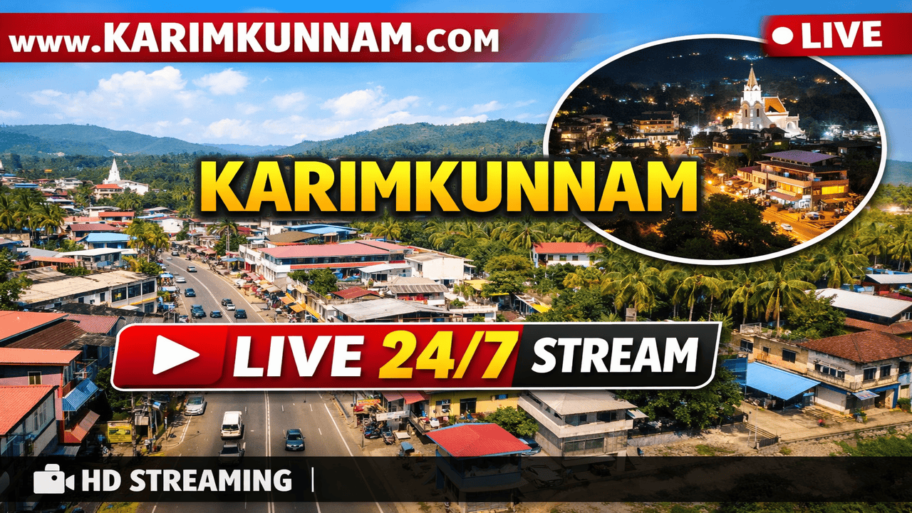 Live 