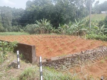 27.5 cent ,  കരിങ്കുന്നം   നെടിയകാട്  കവലയിൽ നിന്നും   1.25 KM  ദൂരത്തിൽ,  മുട്ടം റൂട്ടിൽ  മെയിൻ റോഡ് സൈഡിൽ  വീട് വയ്ക്കുവാൻ അനുയോജ്യമായ സ്ഥലം വില്പനക്ക്.