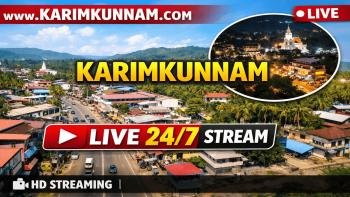 Live View of Village