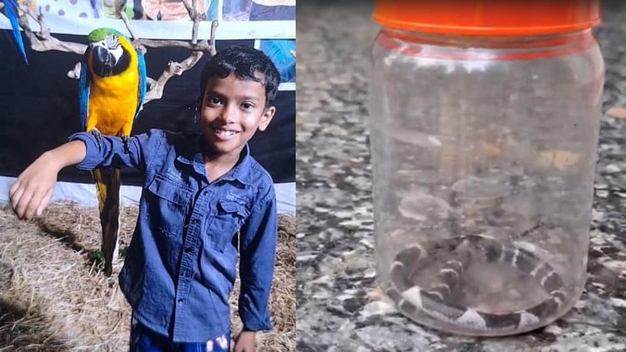 കോടാലിയില്‍ കുട്ടി പാമ്പുകടിയേറ്റ് മരിച്ച സംഭവം; വീടിന്റെ പരിസരത്ത് തീയിട്ട് വനംവകുപ്പ്