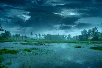 ഈയാഴ്ച അവസാനത്തോടെ കാലവർഷം എത്തും; കേരളത്തിൽ വ്യാഴാഴ്ച മുതൽ ശക്തമായ മഴയ്ക്ക് സാധ്യത