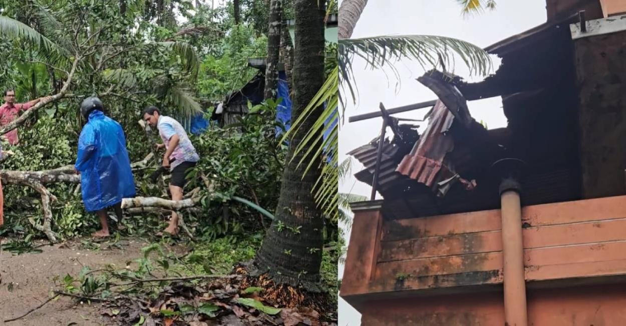 തൃശൂരിൽ മിന്നൽ ചുഴലി; വൻ തേക്കുമരങ്ങളടക്കം കടപുഴകി, സ്കൂൾ കുട്ടികൾ അത്ഭുതകരമായി രക്ഷപ്പെട്ടു; 3 ഓട്ടോറിക്ഷകളും ഒരു കാറും തകർന്നു