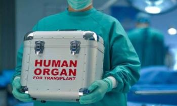 അവയവക്കച്ചവട കേസ്; കൊച്ചിയിലെ സ്വകാര്യ ആശുപത്രികളിൽ അടക്കം അഞ്ചിടങ്ങളിൽ ഇഡി റെയ്ഡ് 