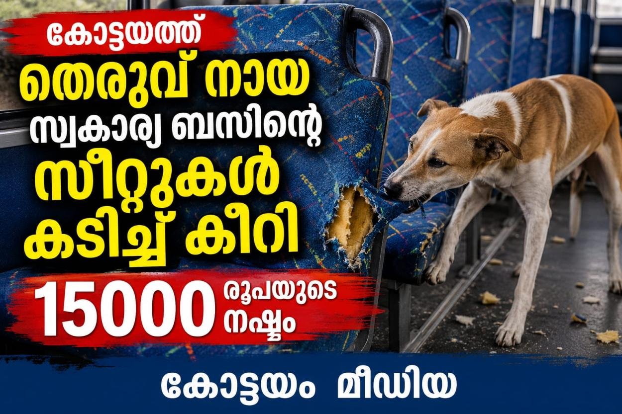 കോട്ടയത്ത് തെരുവുനായ സ്വകാര്യ ബസിന്റെ സീറ്റുകൾ കടിച്ചു കീറി :15000 രൂപയുടെ നഷ്ട്ടം