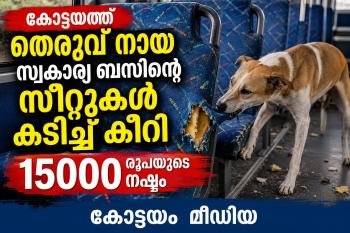 കോട്ടയത്ത് തെരുവുനായ സ്വകാര്യ ബസിന്റെ സീറ്റുകൾ കടിച്ചു കീറി :15000 രൂപയുടെ നഷ്ട്ടം