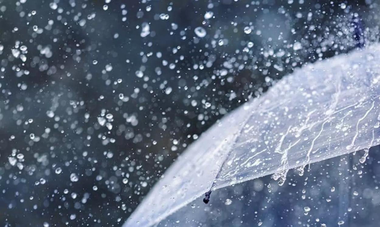 റെഡ് അലർട്ട്; കോഴിക്കോടും വയനാടും നാളെ വിദ്യാഭ്യാസ സ്ഥാപനങ്ങൾക്ക് അവധി