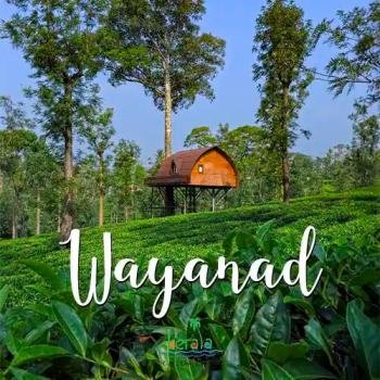 വയനാട്’ എന്ന പേരിൽ ഒരു ടൗൺ പുനർനാമകരണം ചെയ്യണം